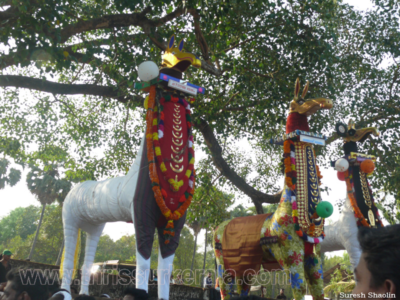 mangad-pooram-2012 (17)
